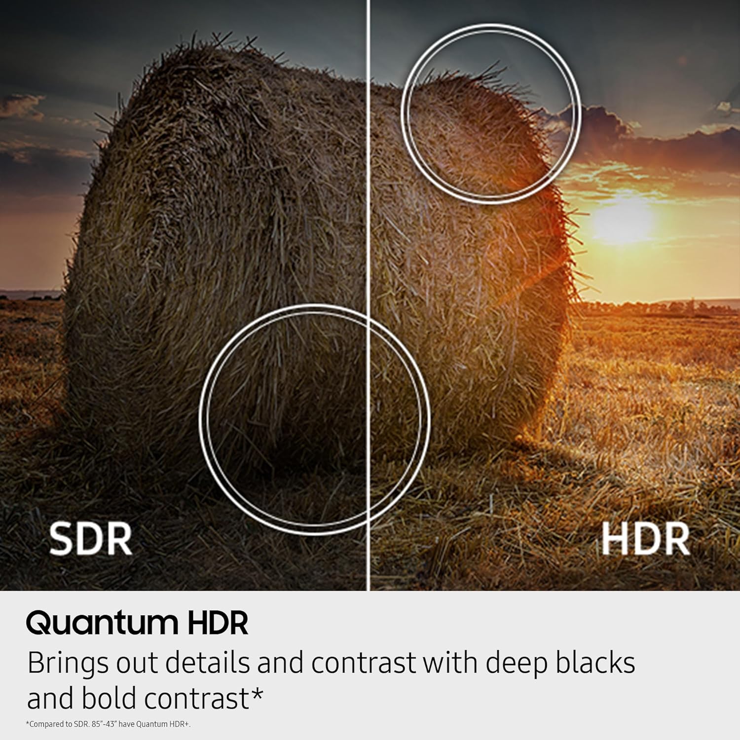 Samsung 32-Inch Class QLED Q8F 4K UHD Smart TV (2025 Model) Q4 AI Processor, 100% Color Volume with Quantum Dot, AirSlim Design, Endless Free Content, Samsung Vision AI, Alexa Built-in - Image 14