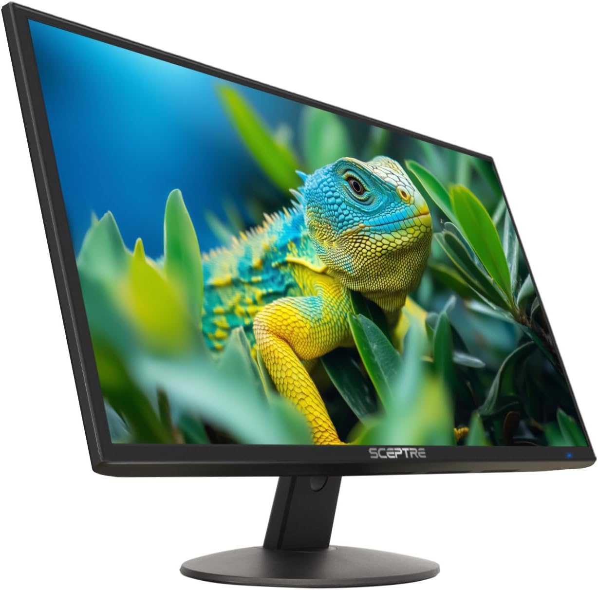 Sceptre New 20-inch Professional Monitor 1600 x 900 HDMI x2 Build-in Speakers 2025 - Image 2