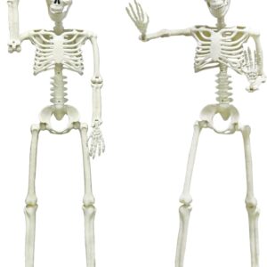CAMIRUS 2PACK 36″ Skeleton Halloween Decorations, 3ft Life Full Size Skeleton with Realistic Posable Movable Joints for Halloween Haunted Houses, Lawn, Graveyard