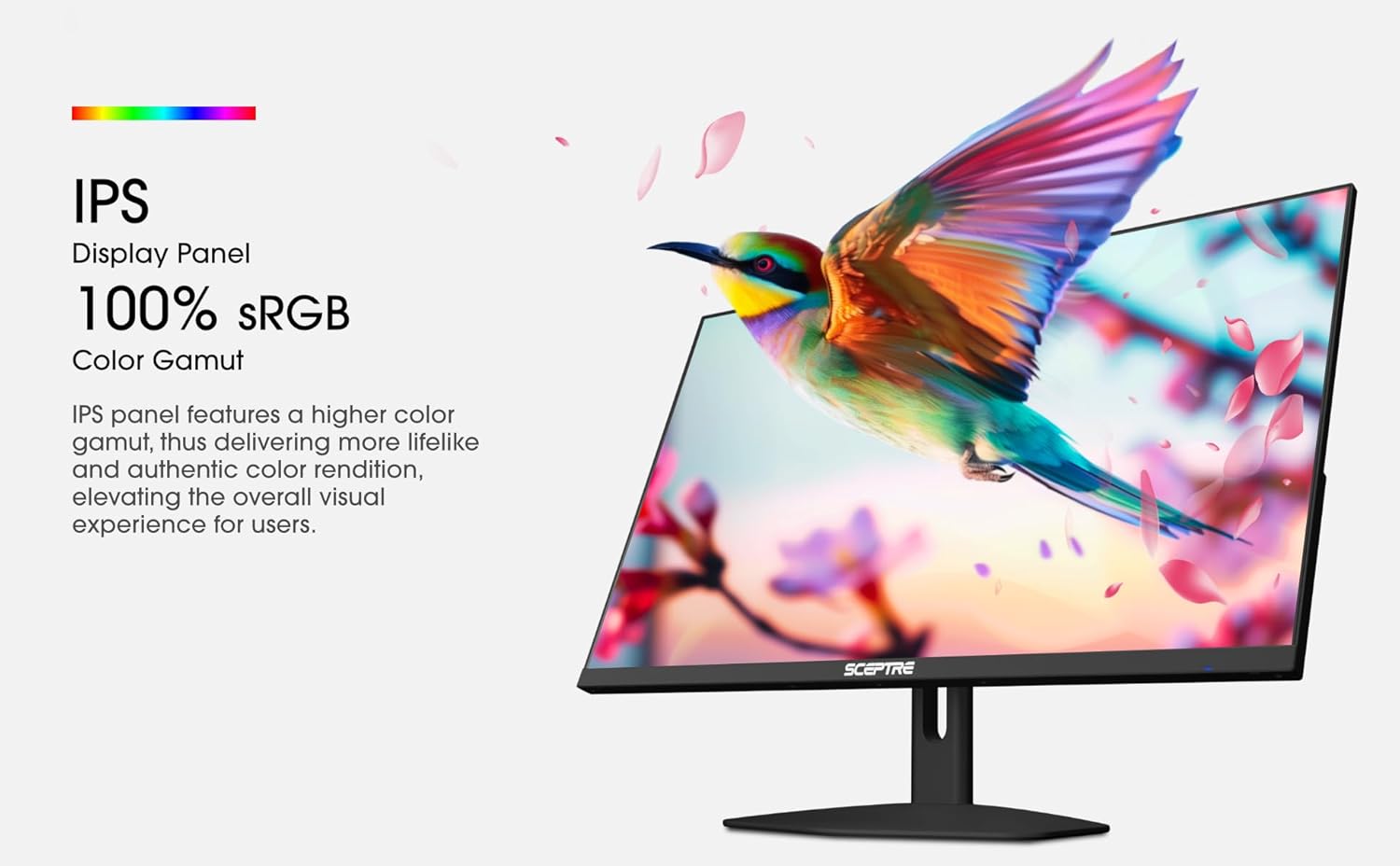 Sceptre New Prime IPS 27-inch 100Hz Gaming Monitor DP HDMI USB Type C, Build-in Speakers Machine Black 2025 - Image 3