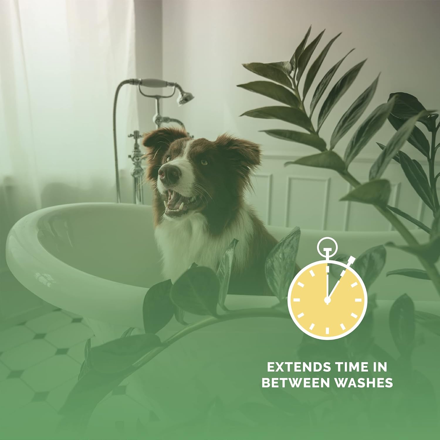 Bark2Basics Salon Scents Pet Grooming Cologne - 8 oz, Natural Professional Grade Perfume for Dogs and Cats, Spray, Long Lasting, Deodorizing, (Coconut and Pineapple) - Image 7