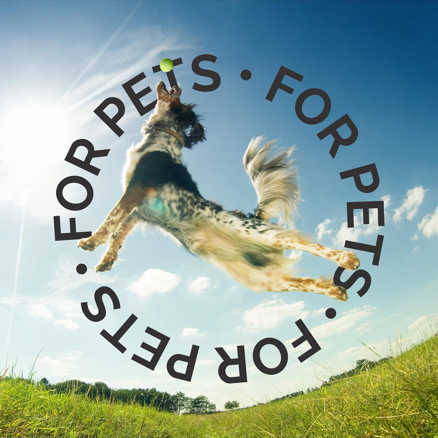 Bark2Basics Salon Scents Pet Grooming Cologne - 8 oz, Natural Professional Grade Perfume for Dogs and Cats, Spray, Long Lasting, Deodorizing, (Coconut and Pineapple) - Image 9