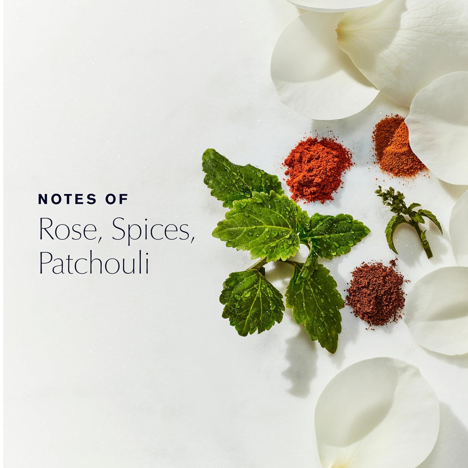 Estée Lauder Youth-Dew Dusting Powder Box with Body Powder & Puff with Notes of Rose, Spices & Patchouli, 7 Ounce - Image 2