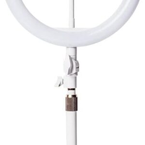 LITTIL Superstar – 10-inch Ring Light for Desk or Table | 3 Light Modes | Flexible Stand | Fits All iPhone Models | Streaming, Zoom Calls, YouTube Makeup Tutorials, Stories, TikTok, Selfies