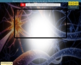 Millionaire’s Brain Academy